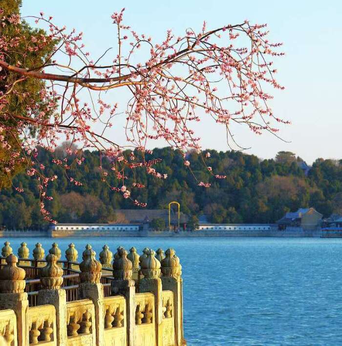 09鲁辉 春意浓.jpeg